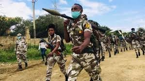 صورة جبهة تيجراي تقصف «أمهرة» بالصواريخ.. والجيش الإثيوبي يحاصر عاصمة الإقليم