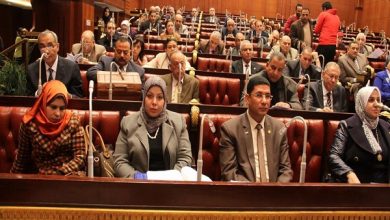 صورة برلماني مصري: نفوّض السيسي بحل أزمة السد الإثيوبي والتصدي لأي خطر على مياه النيل