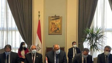 صورة وزير الخارجية المصري يبحث مع المبعوث الأمريكي مستجدات مفاوضات سد النهضة