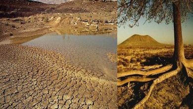 صورة د. فوزى العيسوي يكتب: لماذا نحتفل باليوم العالمي لمكافحة التصحر والجفاف؟