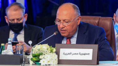 صورة الجامعة العربية تدعم موقف مصر والسودان في خلافهما مع إثيوبيا بـ«إجراءات تدريجية»