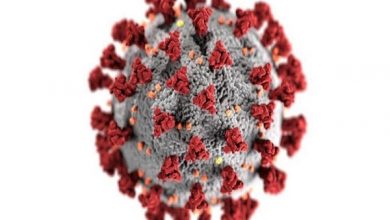 صورة «بي بي سي» تتساءل: هل هناك سقف لخطورة السلالات الجديدة من فيروس كورونا؟