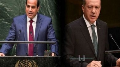 صورة وزير الخارجية المصري يشيد بمنع تركيا عناصر جماعة الإخوان من الظهور الإعلامي