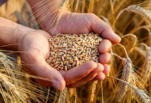 صورة تمديد اتفاقية تصدير الحبوب الأوكرانية.. بين الإيجابيات والمخاطر ومحددات النجاح