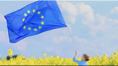 صورة من أجل «التحوّل الأخضر» .. الاتحاد الأوروبي يحتاج 700 مليار يورو سنويا