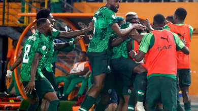 صورة    فازت على الكاميرون بهدفين نظيفين.. نيجيريا تلحق بأنجولا إلى ربع نهائي كأس أمم إفريقيا  