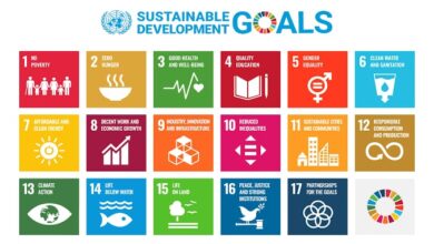 صورة جامعة عين شمس الأولى محلياً و201 عالمياً في تحقيق أهداف التنمية المستدامة .