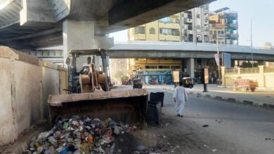 صورة حملات مكبرة للنظافة ورفع القمامة بمركز ومدينة جرجا