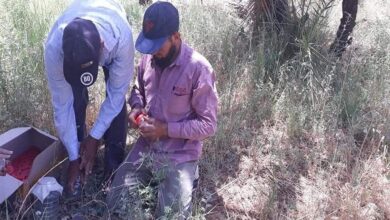 صورة كيف نتغلب علي معوقات التنمية بالمجتمعات الصحراوية؟