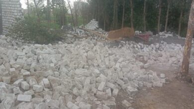 صورة “الزراعة” تستعرض جهود وأنشطة “الإصلاح الزراعي” خلال شهر فبراير 