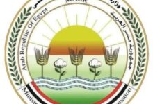 صورة خطة استباقية وضعتها وزارة الزراعة واستصلاح الأراضي عقب التصعيد الأخير في الشرق الأوسط