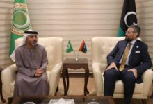صورة ثابت والزعابي يبحثان بالقاهرة آفاق التعاون المشترك بين ليبيا والإمارات